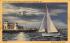 Sailing by Moonlight on Tampa Bay St Petersburg, Florida Postcard