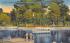 Tropical Park  Silver Springs, Florida Postcard