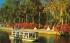 Safe Electrically Propelled Glass Bottom Boats Silver Springs, Florida Postcard