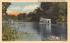 Glass Bottom Boats  Silver Springs, Florida Postcard