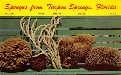 Sponges from Tarpon Springs, Florida, USA Postcard