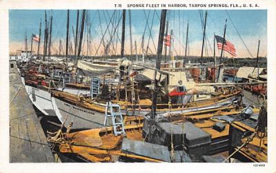 Sponge Fleet in Harbor Tarpon Springs, Florida Postcard