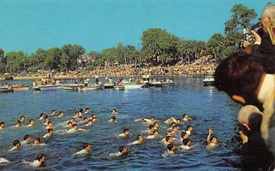 Boy-Retrieving the Cross from Spring Bayou Tarpon Springs, Florida Postcard