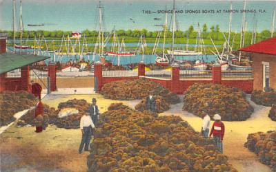 Sponge and Sponge Boats  Tarpon Springs, Florida Postcard