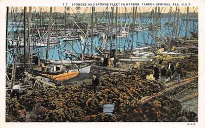 Sponges and Sponge Fleet in Harbor Tarpon Springs, Florida Postcard