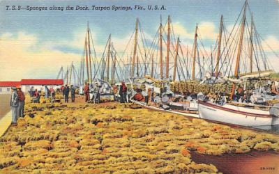 Sponges along the Dock Tarpon Springs, Florida Postcard