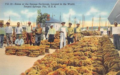 Scene at the Sponge Exchange, Largest in the World Tarpon Springs, Florida Postcard