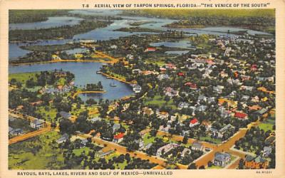 Aerial View of Tarpon Springs, FL, USA Florida Postcard