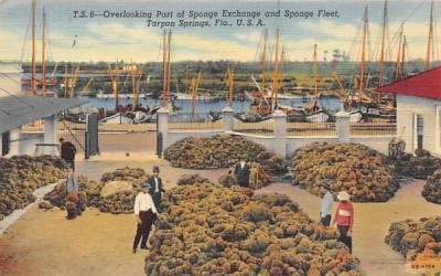 Part of Sponge Exchange and Sponge Fleet Tarpon Springs, Florida Postcard