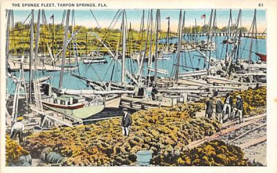 The Sponge Fleet Tarpon Springs, Florida Postcard