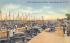 Sponge Fleet in Harbor Tarpon Springs, Florida Postcard