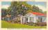 Tallahassee Motor Hotel, Capital City of Florida, USA Postcard