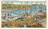 The Sponge Fleet Tarpon Springs, Florida Postcard