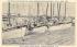 Ready to Leave Sponge Exchange Dock for New Trip Tarpon Springs, Florida Postcard