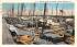 Sponge Fleet in Harbor Tarpon Springs, Florida Postcard