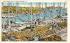 The Sponge Fleet Tarpon Springs, Florida Postcard