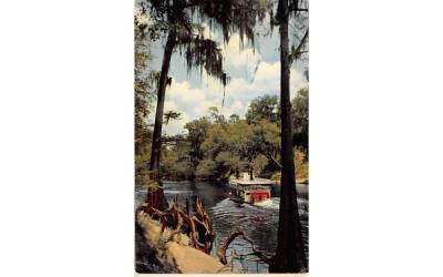 The Suwannee River White Springs, Florida Postcard