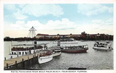 Royal Poinciana  West Palm Beach, Florida Postcard