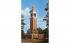 Stephen Foster Memorial Campanile White Springs, Florida Postcard