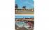 Royal Palm Motor Lodge West Palm Beach, Florida Postcard