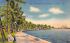 Along Flagler Drive West Palm Beach, Florida Postcard