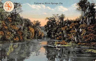 Silver Springs FL