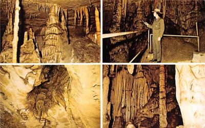 Mammoth Cave KY