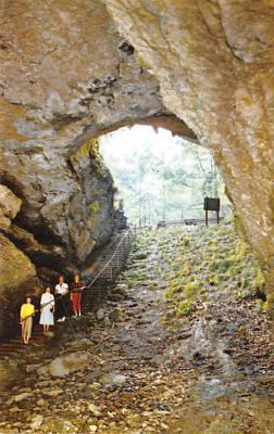 Mammoth Cave KY