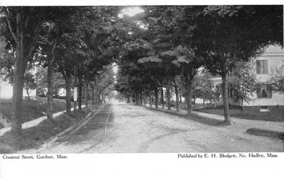 Chestnut Street Gardner, Massachusetts Postcard