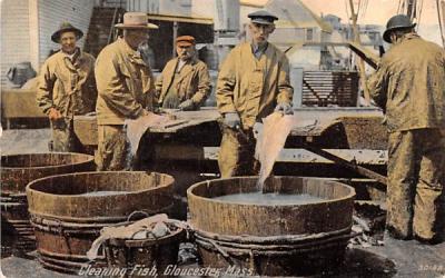 Cleaning Fish Gloucester, Massachusetts Postcard