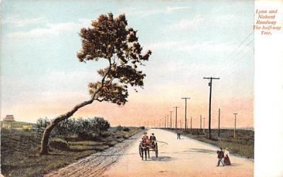 Lynn & Nahant Roadway Massachusetts Postcard