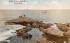 Along the Lynn Shore Drive Massachusetts Postcard