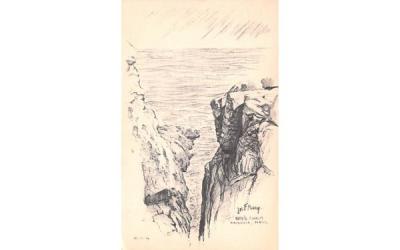 Rafe's ChasmMagnolia, Massachusetts Postcard