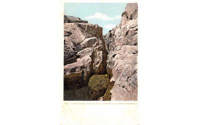 Rafe's Chasm Magnolia, Massachusetts Postcard