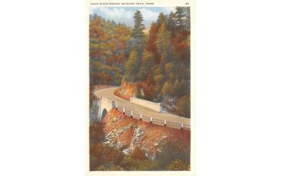 Cold River Bridge Mohawk Trail, Massachusetts Postcard