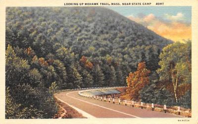 Looking up Mohawk Trail Massachusetts Postcard