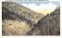 Cold River on the Mohawk Trail Massachusetts Postcard