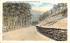 Mohawk Trail  Massachusetts Postcard