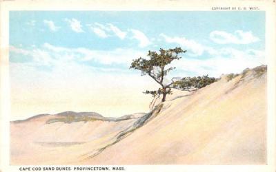 Cape Cod Sand Dunes Provincetown, Massachusetts Postcard