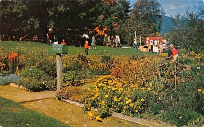 Harvest Festival Stockbridge, Massachusetts Postcard