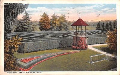 Cedar Hill Maze Waltham, Massachusetts Postcard