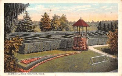 Cedar Hill Maze Waltham, Massachusetts Postcard