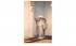 John Singer Sargent Williamstown, Massachusetts Postcard