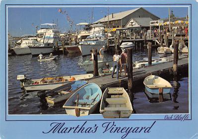 Marthas Vineyard MA