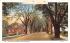 The King's Highway Yarmouthport, Massachusetts Postcard