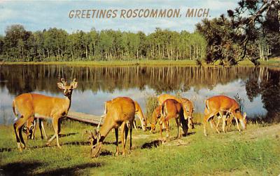 Roscommon MI