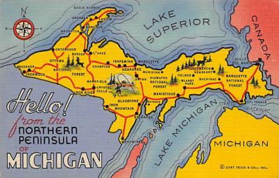 State Map MI