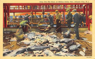 Deep Sea Net Haul, at Million Dollar Pier Atlantic City, New Jersey Postcard