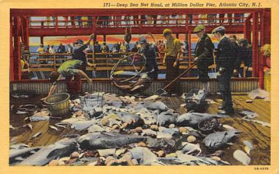 Deep Sea Net Haul, at Million Dollar Pier Atlantic City, New Jersey Postcard