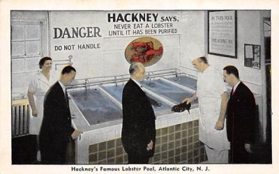 Hackney's Famous Lobster Pool Atlantic City, New Jersey Postcard